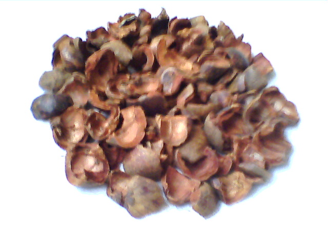 Mangosteen Dried